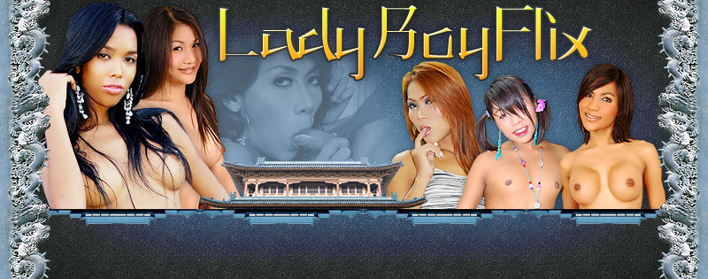 Welcome to LadyboyFlix.com